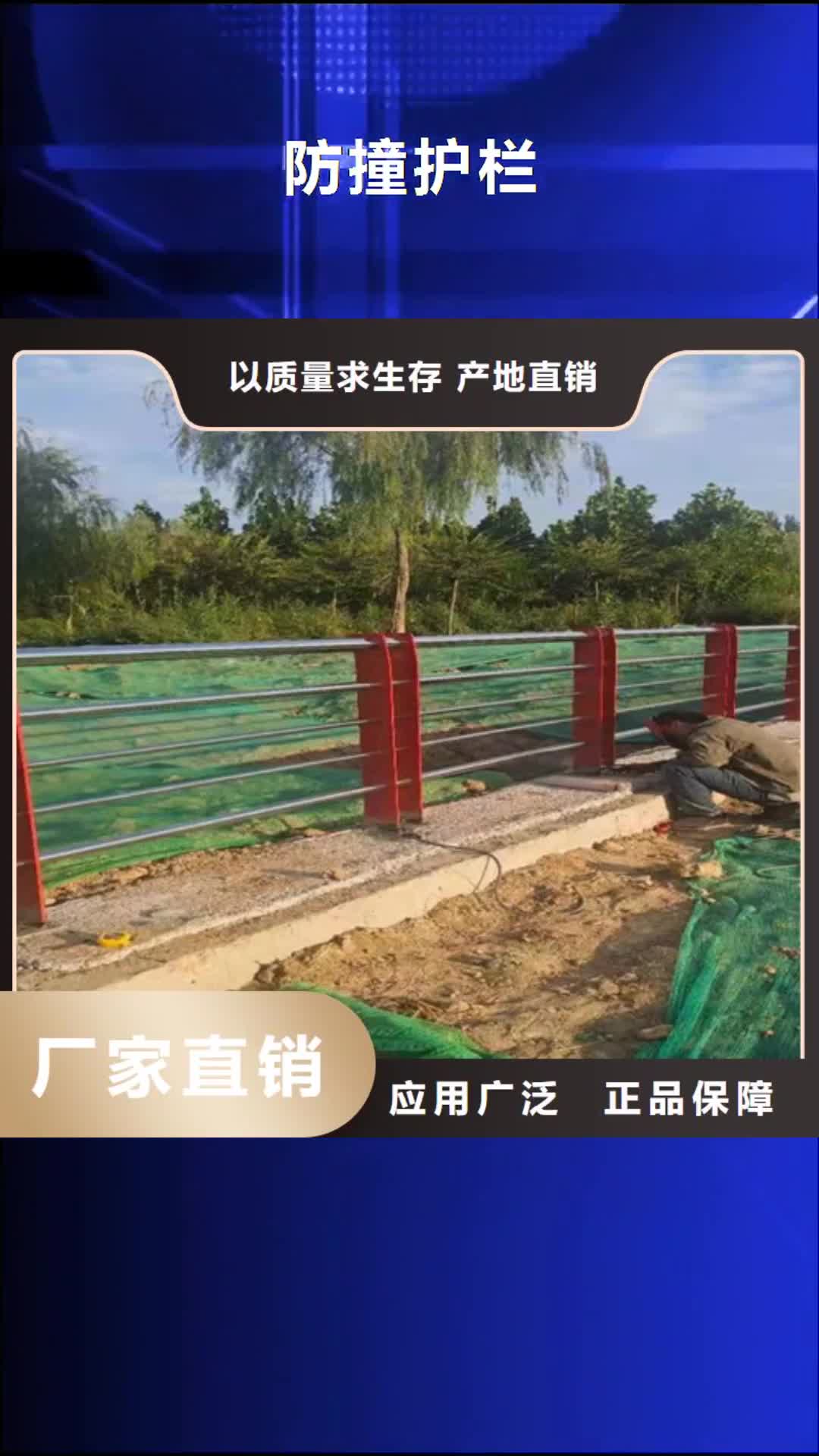 广安【防撞护栏】 铸铁隔离栏杆立柱实力厂家直销